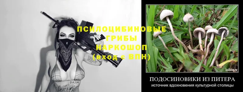 Псилоцибиновые грибы Magic Shrooms  Октябрьский 